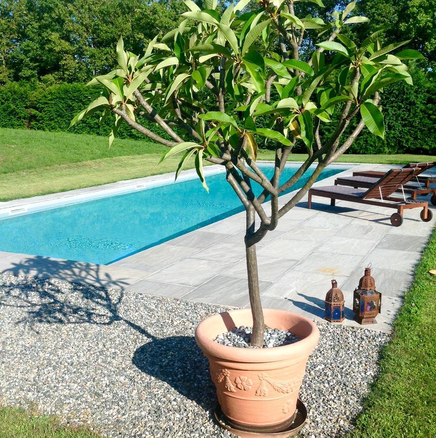 Alla Gazza Ladra Bed & Breakfast Prato Sesia Cameră foto
